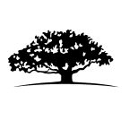 BRP Inc logo