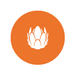 Liberty Global plc logo