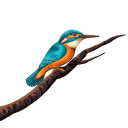 United Breweries Limited logo